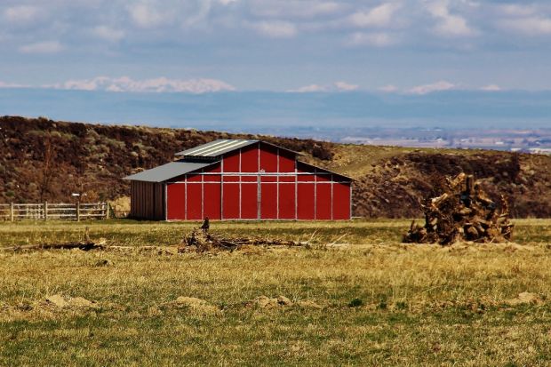 Barn
